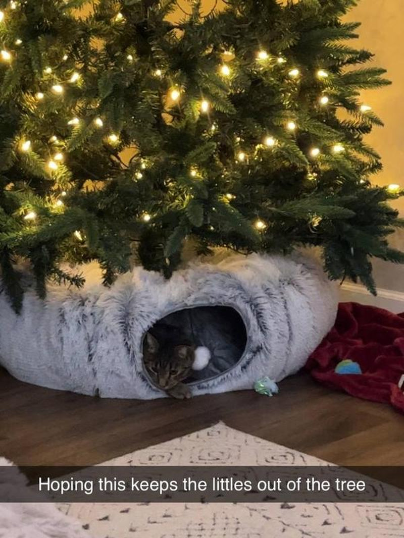 Christmas Tree Skirt Cat Tunnel Bed Soft Plush Multifunctional Collapsible Tunnel with Cotton Cushion for Small Pets Cozy Winter Cat Tunnel Bed with Steel Wire Safety Protection