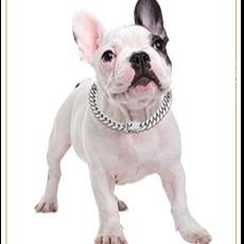 Cuban Link Gold Dog Chain Collar - Designer Metal Necklace Crystal Secure Buckle Stylish Jewelry Accessory for Small, Medium, Large Dogs Cats (Gold, 18 Inch) Diamond Pet Fashionable Chain Necklace