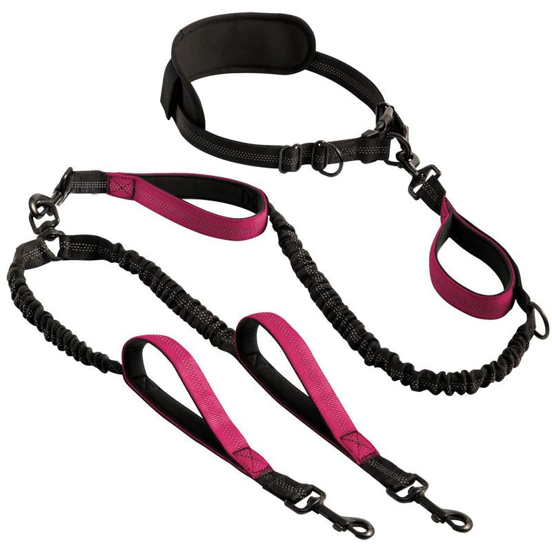 Dual Retractable Dog Leash — 3M, No-Tangle 360° Swivel, Flashlight & Poop Bag Holder