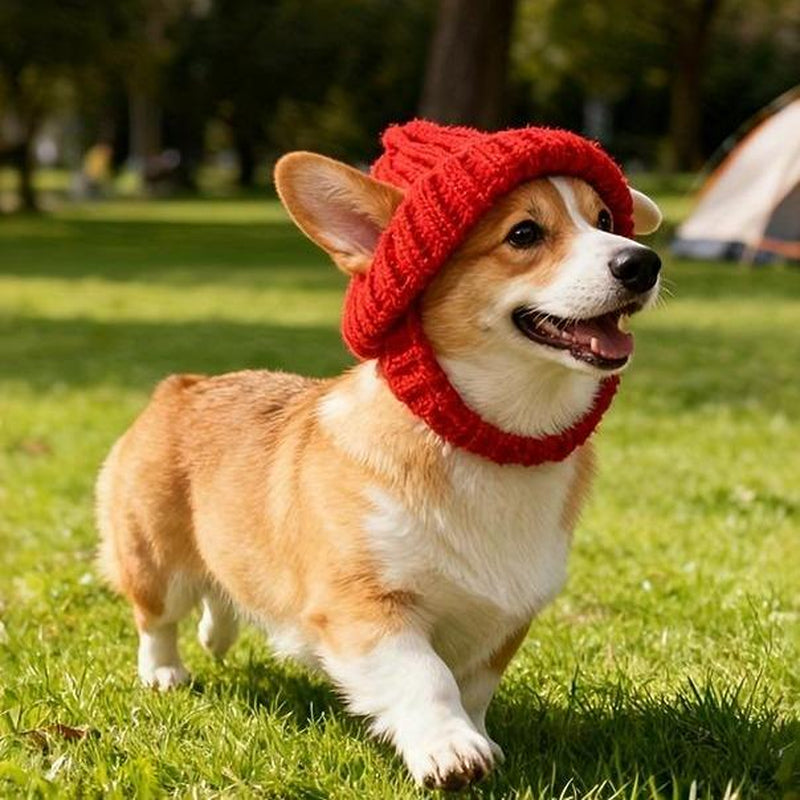 Maltese Dog Beanie Hat Cozy Red Winter with Ear Flaps Soft Knit Pet Hat for Small Dogs Indoor Outdoor Use Machine Washable Cute Dog Fashion Accessory Durable Pet Wear