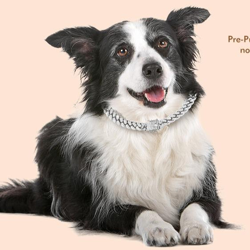 Cuban Link Gold Dog Chain Collar - Designer Metal Necklace Crystal Secure Buckle Stylish Jewelry Accessory for Small, Medium, Large Dogs Cats (Gold, 18 Inch) Diamond Pet Fashionable Chain Necklace