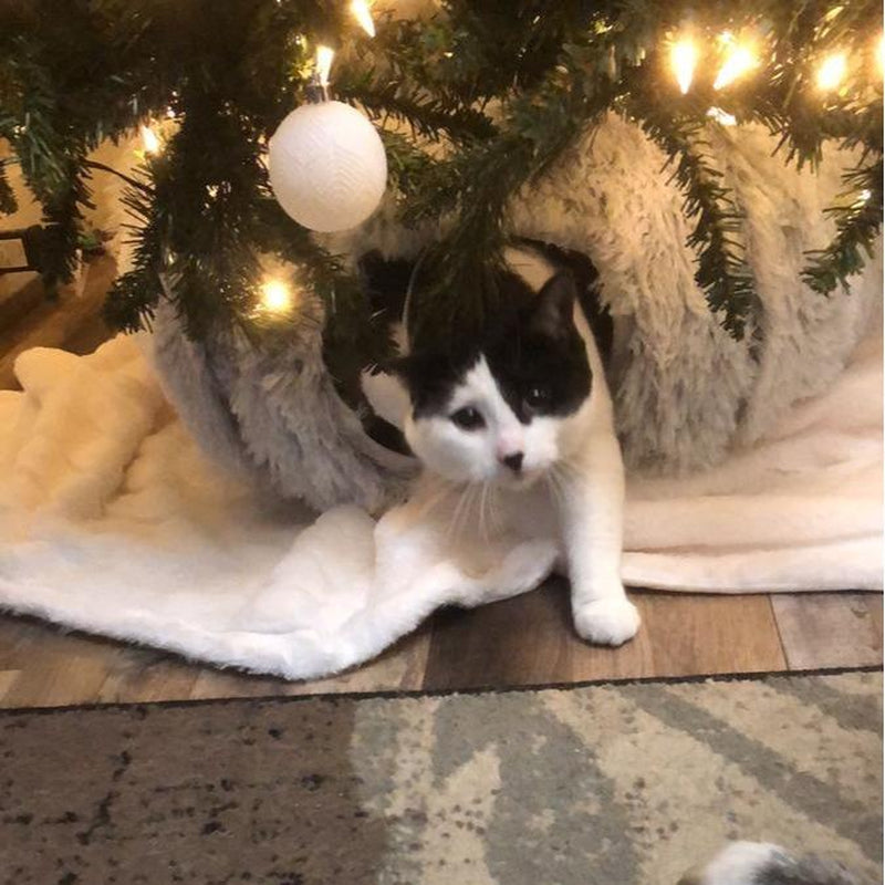 Christmas Tree Skirt Cat Tunnel Bed Soft Plush Multifunctional Collapsible Tunnel with Cotton Cushion for Small Pets Cozy Winter Cat Tunnel Bed with Steel Wire Safety Protection
